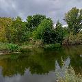 Наше лето. Это было сегодня скачать фото