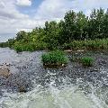 Наше лето. Это было сегодня скачать фото