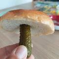 Подскажите, какой это гриб? (Из присланного) скачать фото
