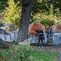 Из присланного. Германия скачать фото