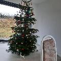 Прислали с Германии скачать фото