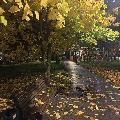 Осень&hellip; скачать фото