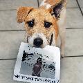 Have you seen this person? скачать фото