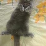 скачать фото