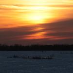 скачать фото