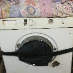 скачать фото