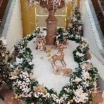  скачать фото