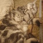  скачать фото