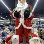 скачать фото