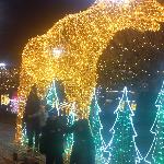  скачать фото