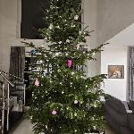  скачать фото