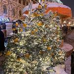 скачать фото