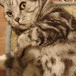  скачать фото