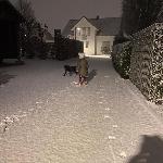  скачать фото