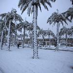  скачать фото