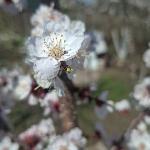  скачать фото