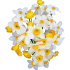 cvety_32.png