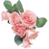 cvety_9.png