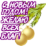 ng_39.png